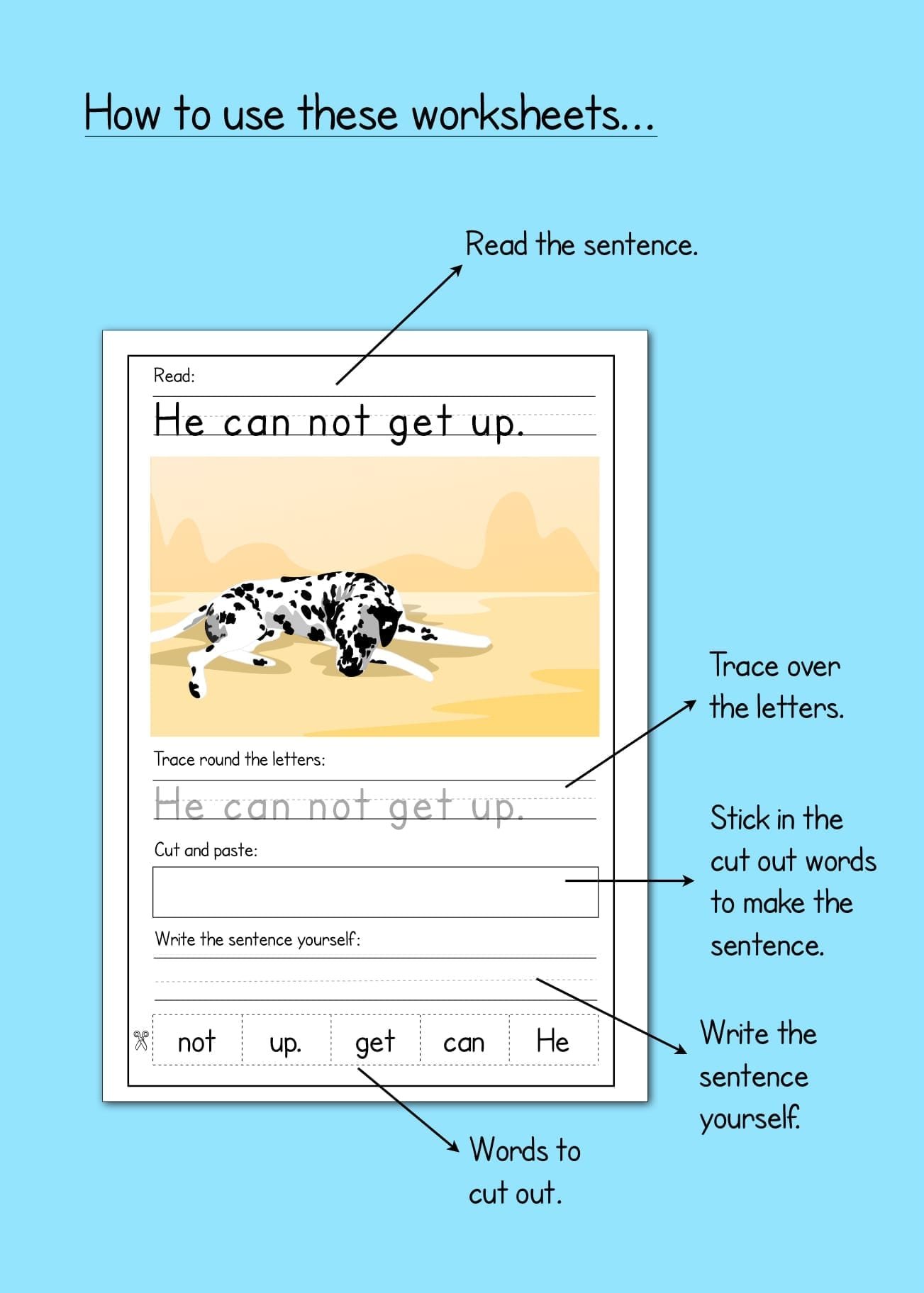 Dog Writing Sentence Worksheets First Grade