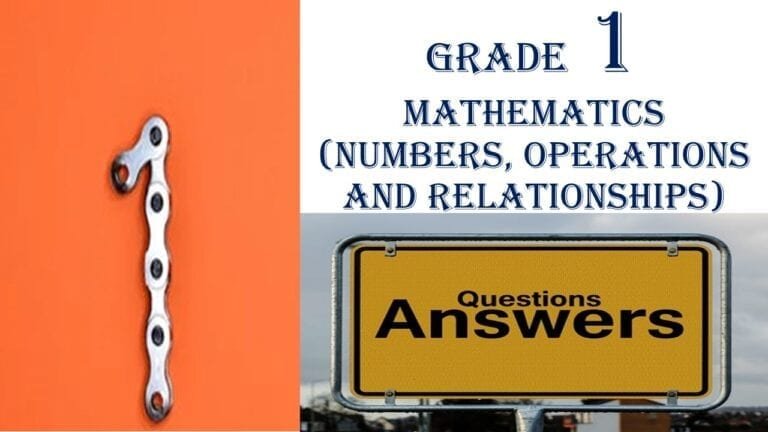 Grade 1 Mathematics Q&A: Numbers, Operations, and Relationships
