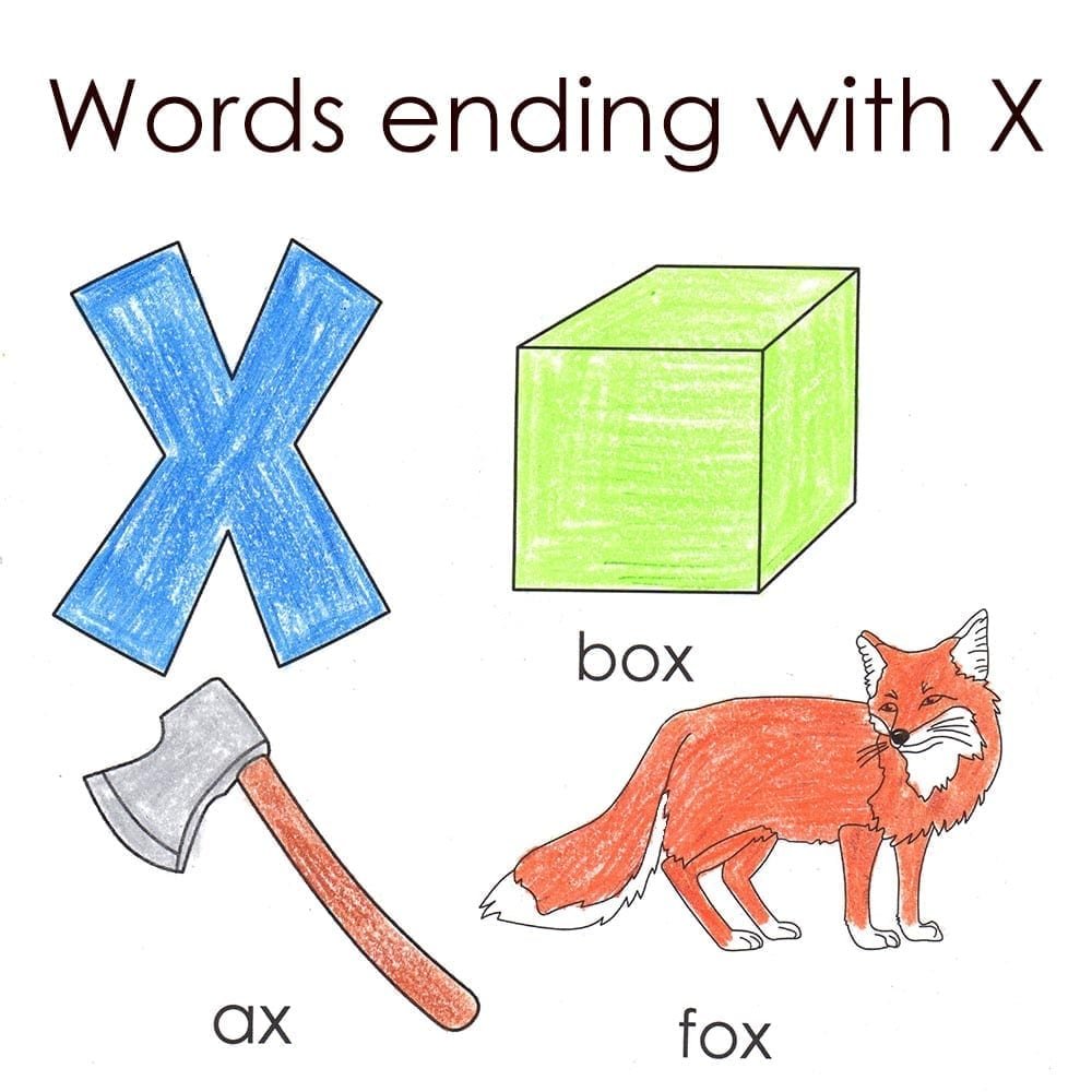 4 letter word that ends with x
