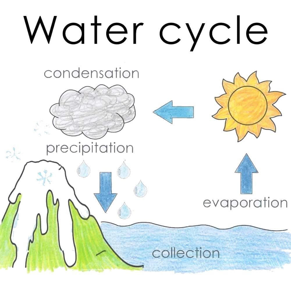 Weather Week: fun activities and science exploration | Lesson Planned