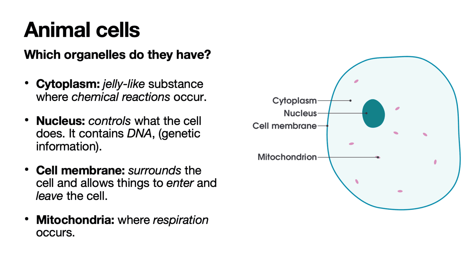 introduction to cell biology assignment