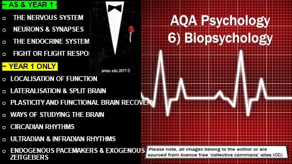 AQA A-Level Psychology: Year 1 And AS BIOPSYCHOLOGY Module