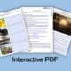 13 Interactive Year 2 and 3 English Activities
