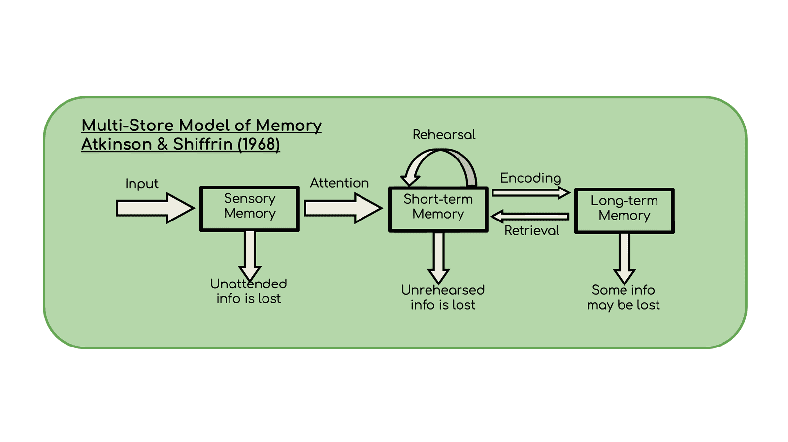 Multi-Store Memory Model diagram by Atkinson & Shiffrin.