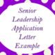 Assistant Head Senior Leadership Example Application Covering Letter/Supporting Statement