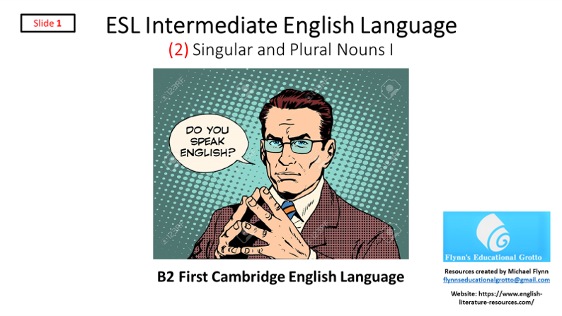 ESL English nouns lesson slide, comic style questioning man.