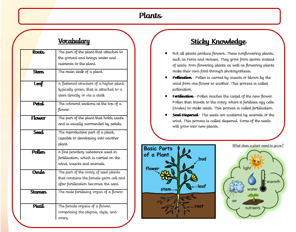 Educational diagram explaining plant vocabulary and facts.
