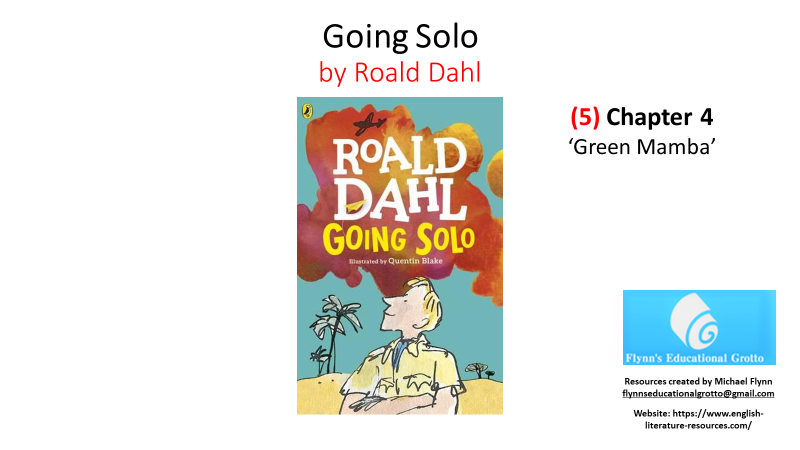 Roald Dahl 'Going Solo' book cover with Quentin Blake illustration.
