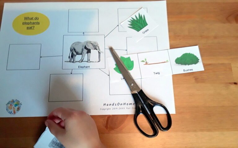 discover-key-features-of-mammals-create-a-poster-with-hands-on-education