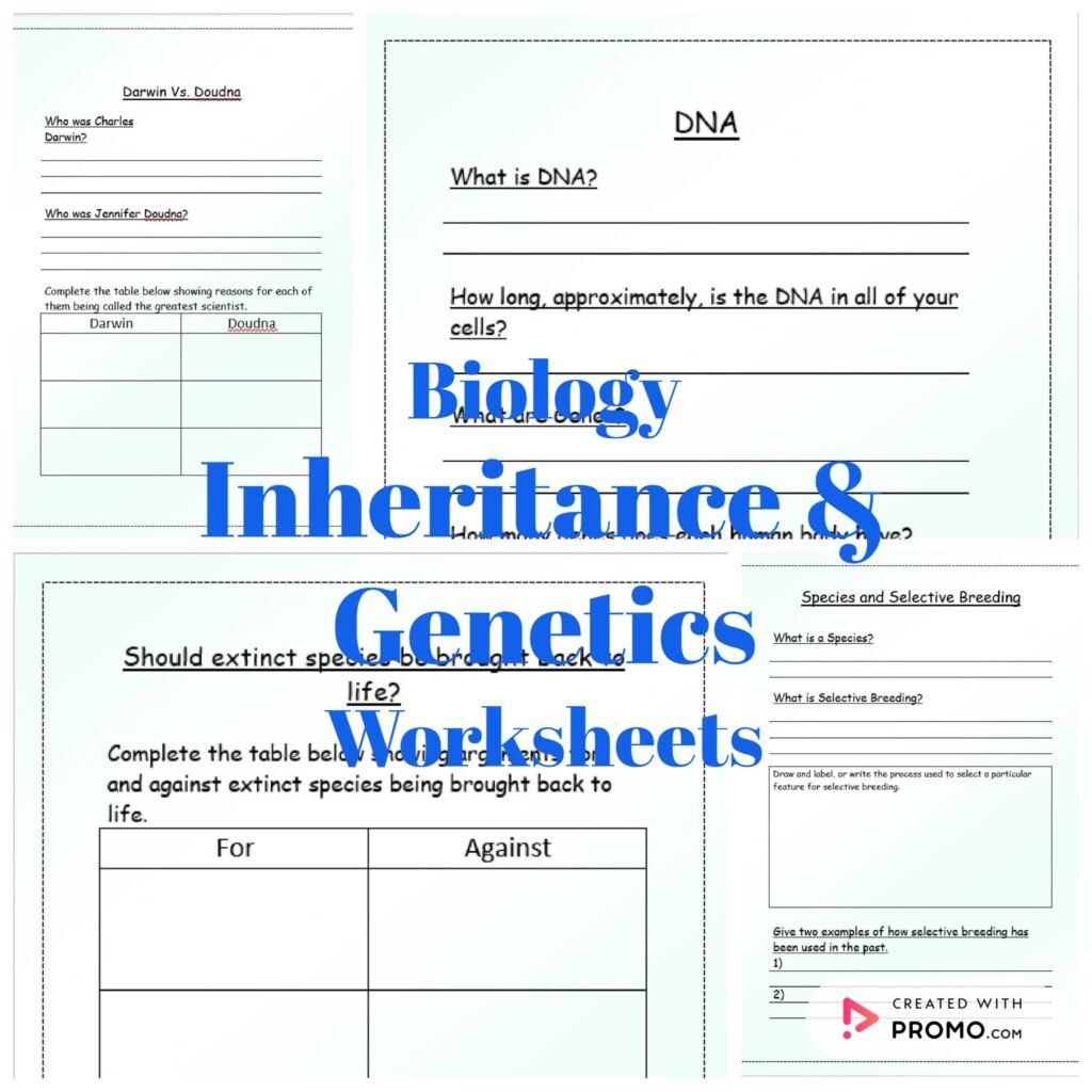Ks3 biology inheritance genetics worksheets free and premium
