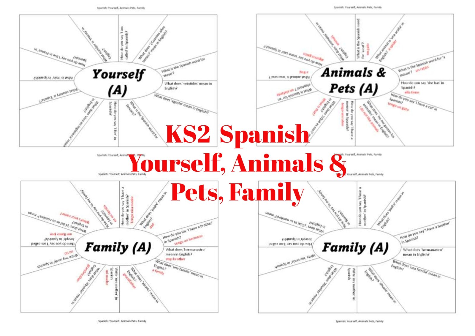 GCSE Poetry: 'Winter Swans' by Owen Sheers - Free and Premium Teaching ...