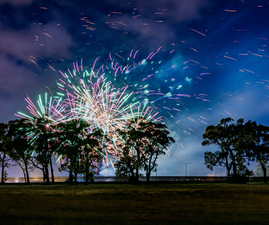 Nighttime fireworks display above trees
