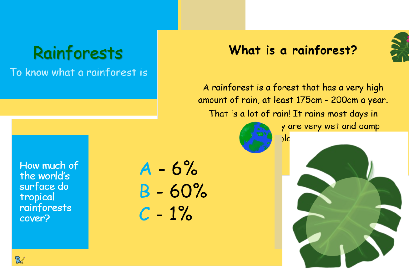 Educational infographic about rainforests and their global coverage.