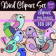 Colourful bird clipart set, PNG format, 300 DPI.