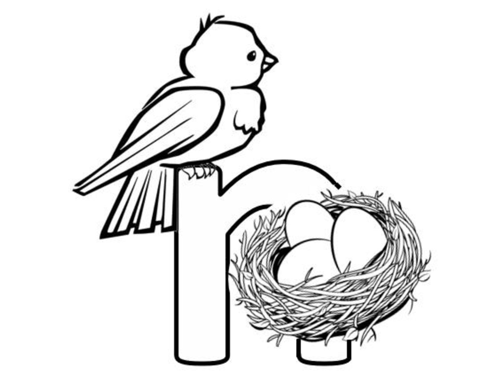 Bird perched above nest with eggs illustration.