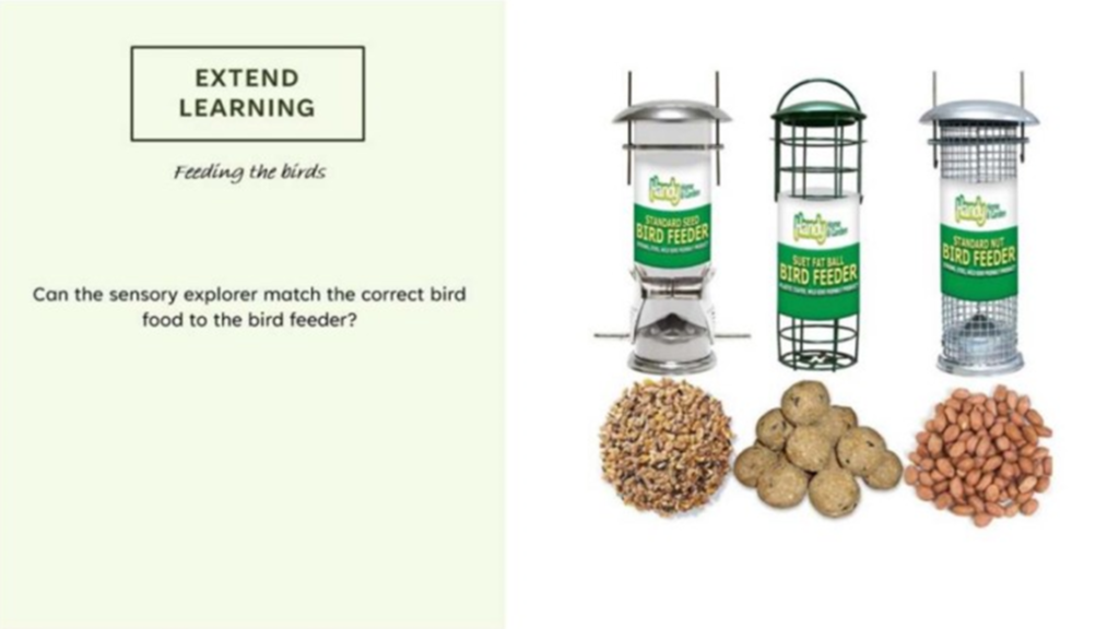 Educational bird feeders and matching bird food types.