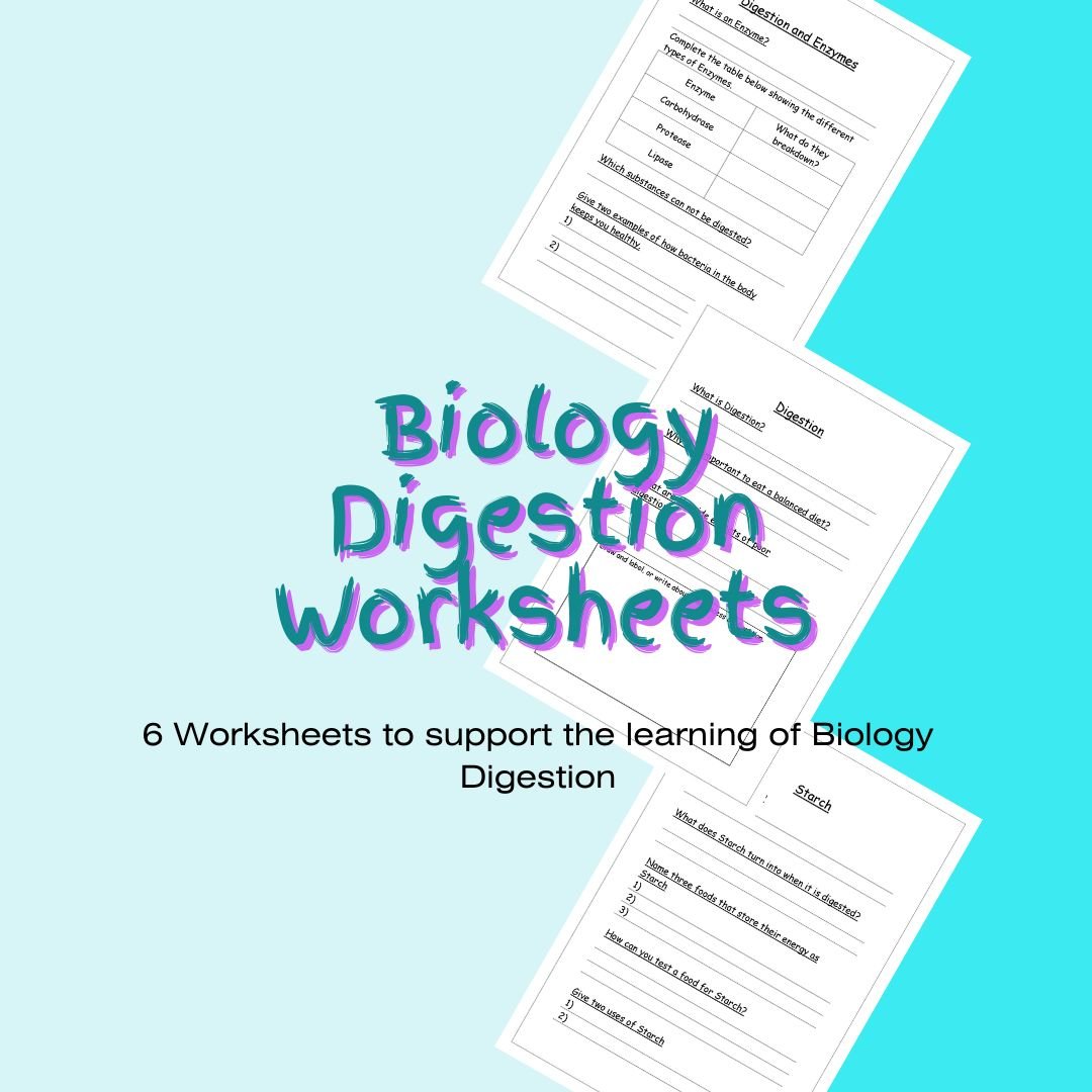 Educational digestion worksheets for biology students.