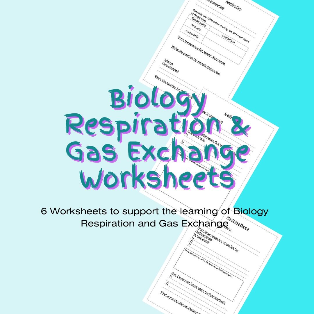 Educational Biology worksheets on Respiration and Gas Exchange.
