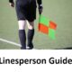 Assistant referee holding flag on football pitch.