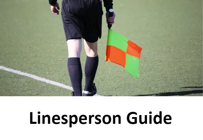 Assistant referee holding flag on football pitch.