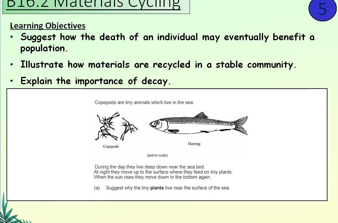 Educational slide on marine materials cycling and decay.