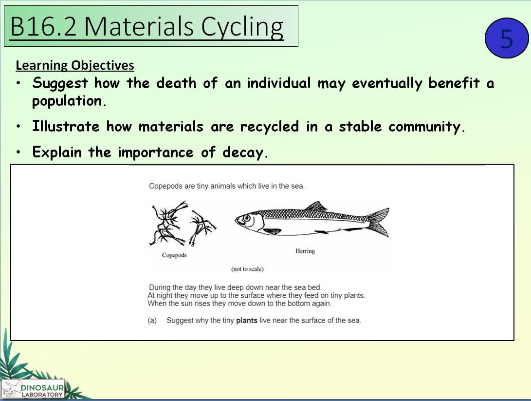 Educational slide on marine materials cycling and decay.