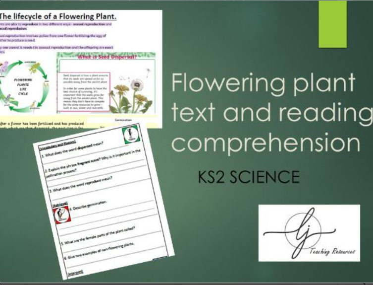 KS2 Science teaching resources for plant lifecycle.