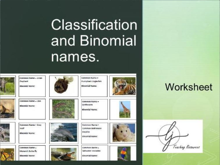 Educational worksheet on animal classification and scientific names.