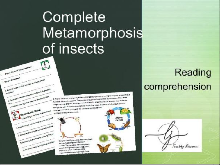 Educational slide about insect metamorphosis and reading comprehension.