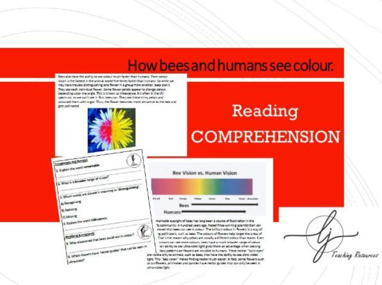 Educational resource on bee and human color perception.