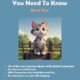 100 English idioms book featuring a cute kitten illustration