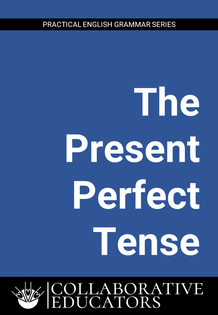 Present Perfect Tense Book Cover