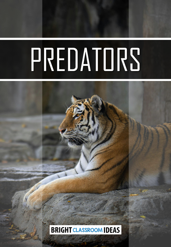 Predators book cover with a tiger