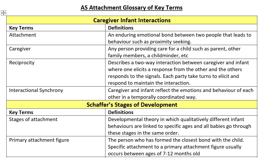 AS attachment glossary: caregiver interactions, Schaffer development.