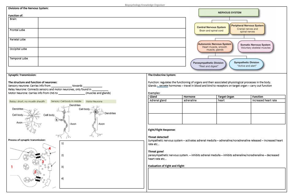 Biopsychology diagram showing nervous and endocrine systems.