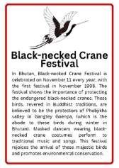 Black-necked Crane Festival in Bhutan information poster.