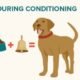 Dog training with food and bell conditioning