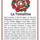 La Tomatina – Festivals Around the World Handout/Information Sheet/Poster/Spain