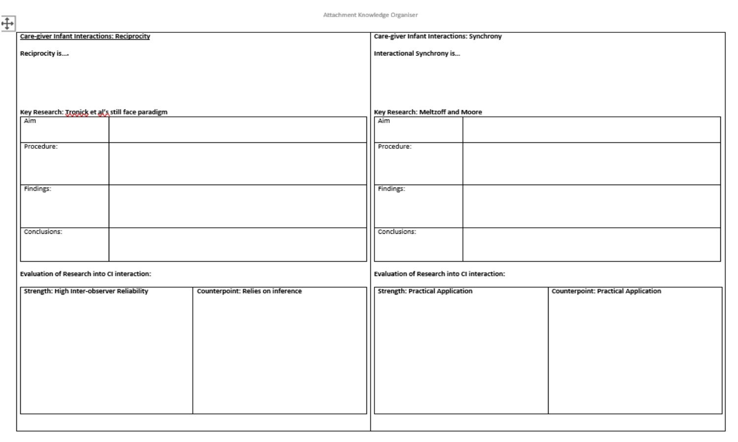 Caregiver-infant interactions research organiser template.