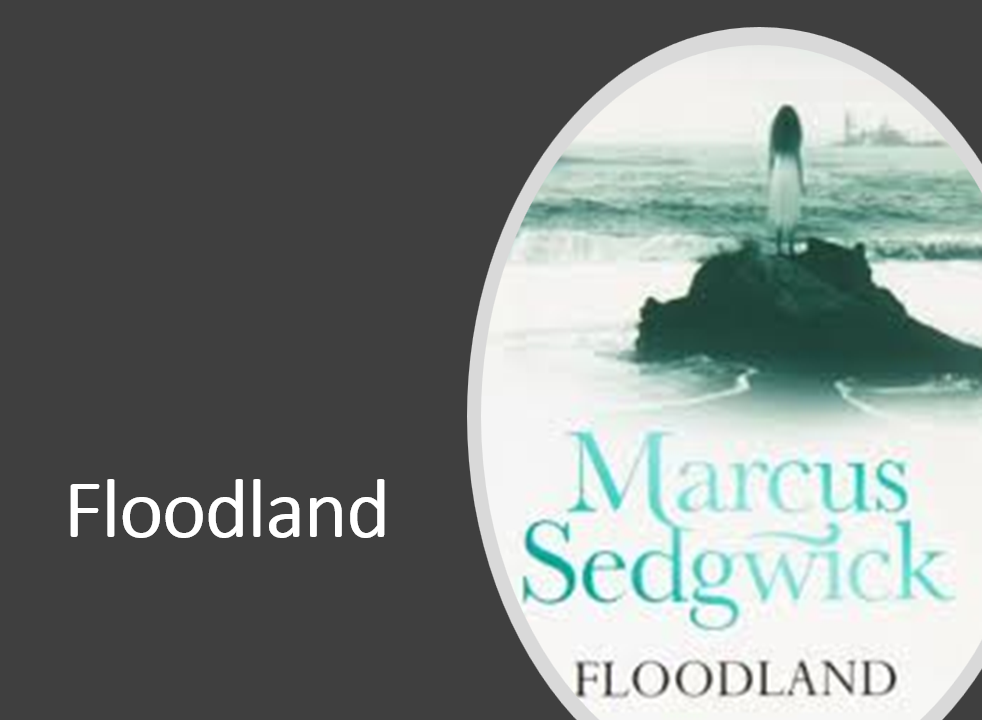 Marcus Sedgwick's book Floodland cover featuring a lonely island.