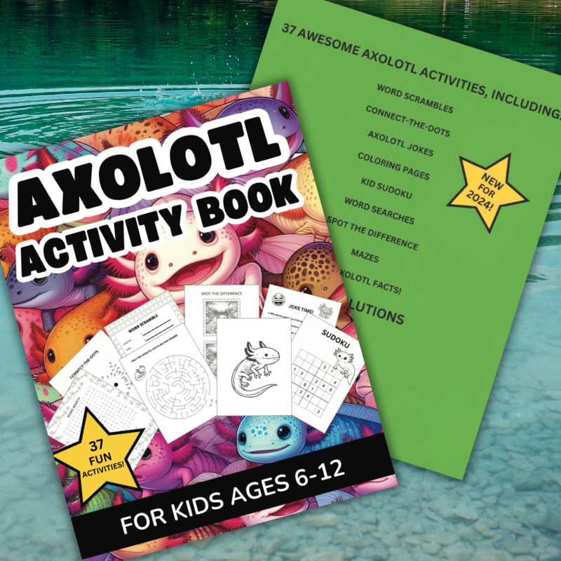 Axolotl activity book for kids ages 6-12