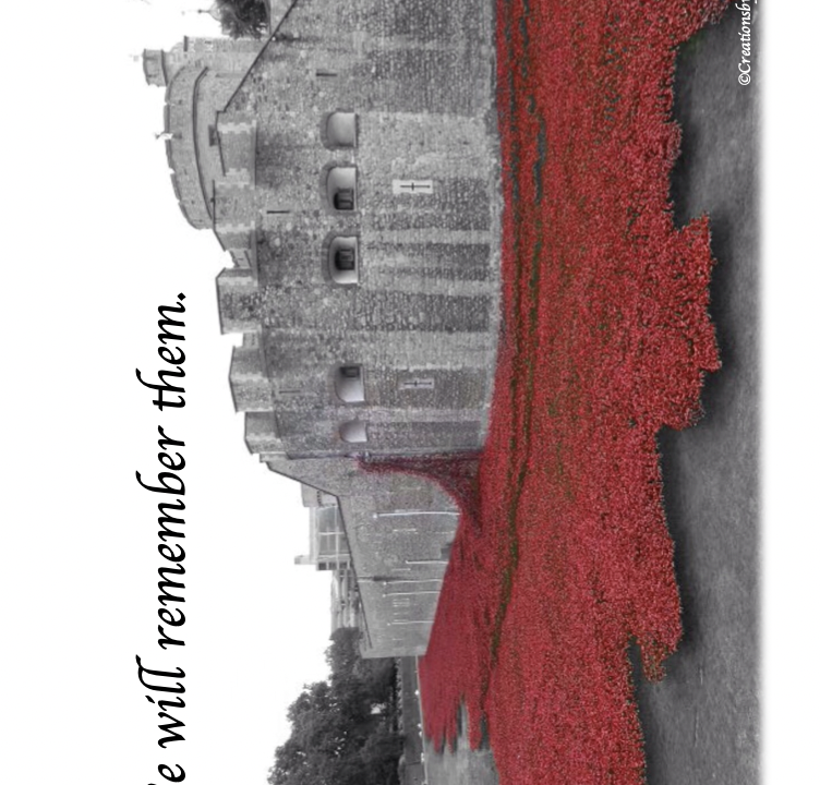 Poppies at the Tower of London remembrance display.