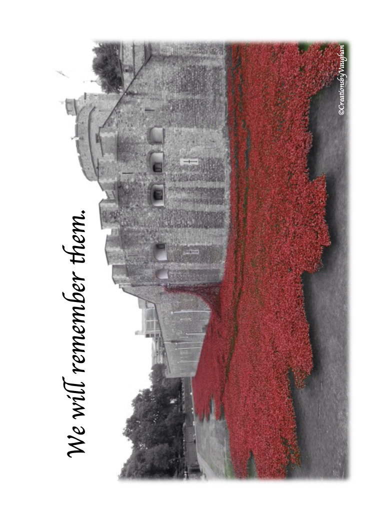 Poppies at the Tower of London remembrance display.