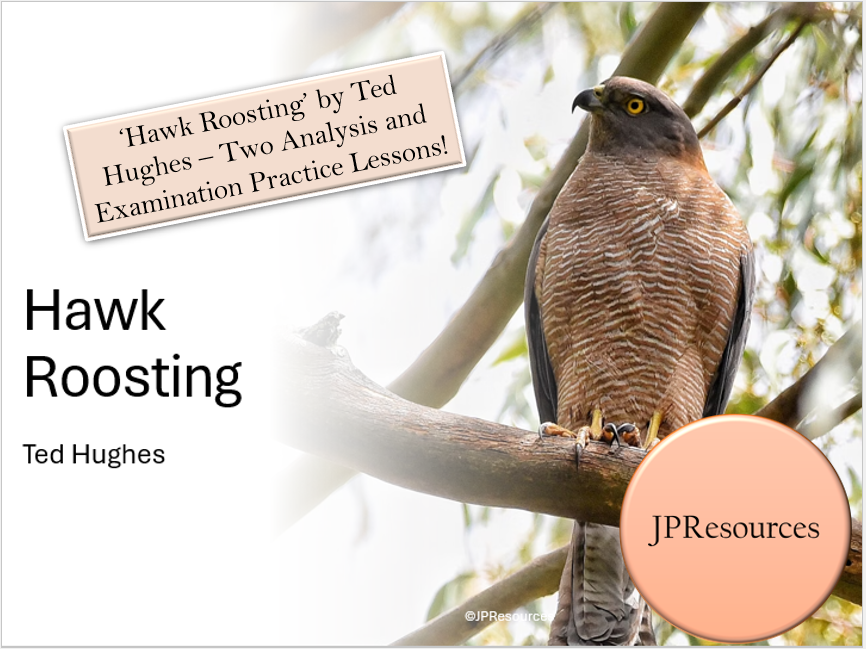 Hawk Roosting analysis and lessons by Ted Hughes