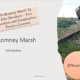 In Romney Marsh analysis lessons by JPResources.