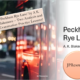 Peckham Rye Lane book analysis and lessons.