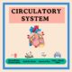 Circulatory system educational resources with heart illustration.