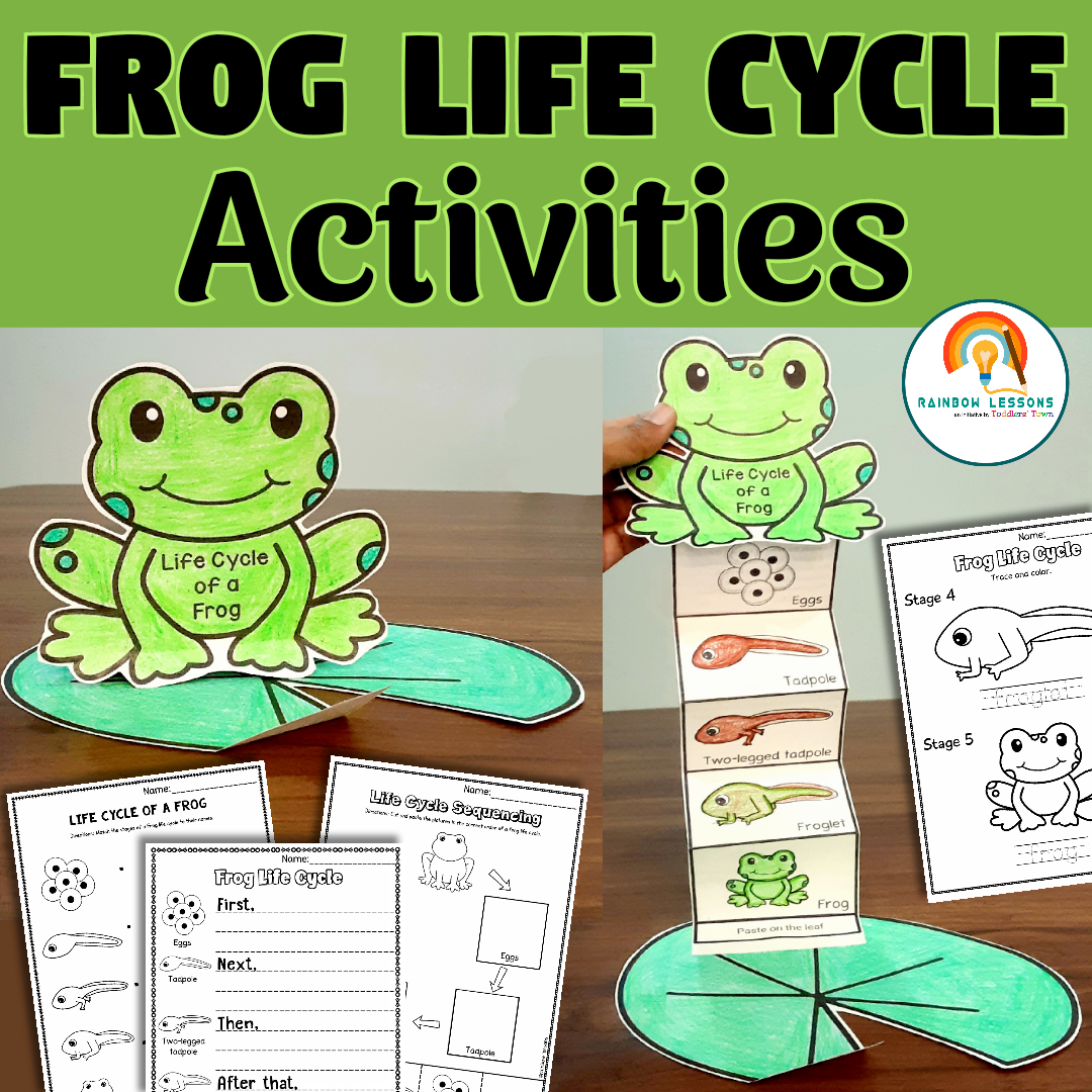 Frog life cycle educational activities for kids.