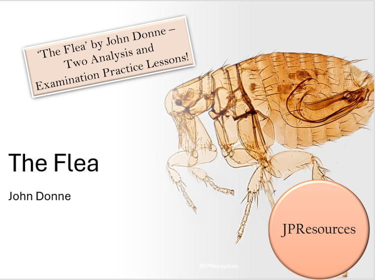 The Flea poem analysis by John Donne