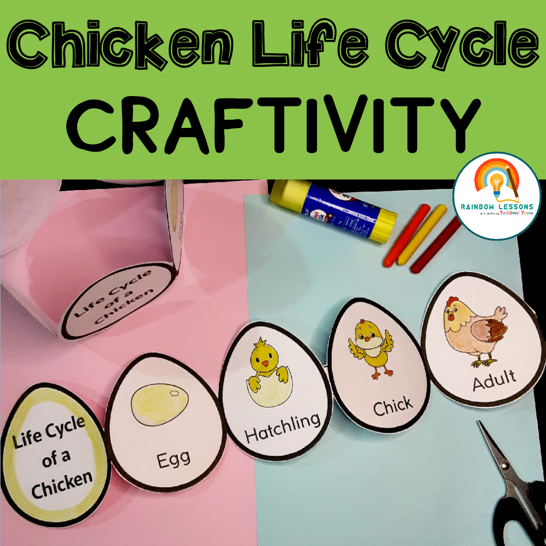 Chicken life cycle craft activity with paper cutouts.